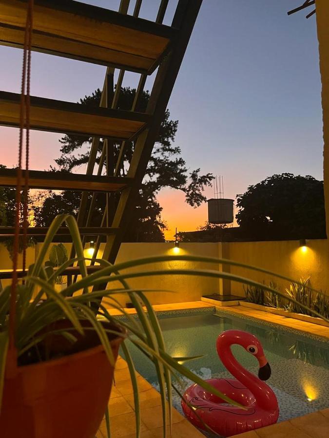 Colibrí Hostel Puerto Iguazú Exteriér fotografie